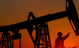Prețul petrolului a atins un nou record 