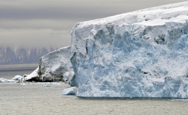Лед в Арктике тает быстрее чем когдалибо за последние 1500 лет