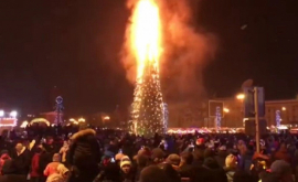 Un brad de peste 20 de metri înălţime a luat foc de Revelion VIDEO
