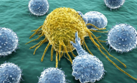 O nouă teorie care explică apariția cancerului