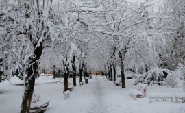 Самая низкая температура зарегистрированная в Молдове в январе