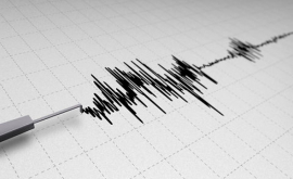 Японцев ошибочно оповестили о приближающемся мощном землетрясении