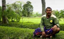 Povestea extraordinară a lui Jadav Payeng omul pădure al Indiei