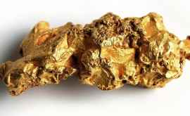 A fost descoperită bacteria ce detectează şi transformă aurul în pepită