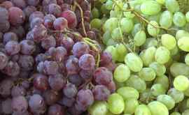 Впервые молдавский виноград морским путем поставили в ОАЭ