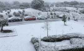 Снегопад парализовал дорожное движение в Испании