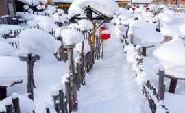 Cea mai abundentă ninsoare din ultimele aproape patru decenii în centrul Japoniei