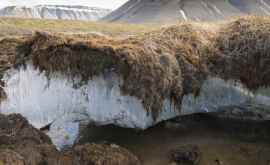 Cantităţi înfricoşător de mari de mercur au fost găsite în permafrost
