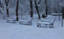 Север Молдовы завалило снегом ФОТОГАЛЕРЕЯ