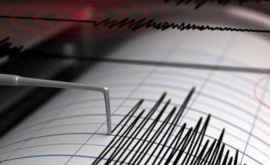 За последние сутки во Вранче произошло три землетрясения