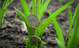 Новые обязанности для получателей субсидий в сельском хозяйстве