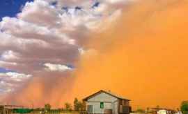 Поселок в Австралии окутало облаком оранжевой пыли