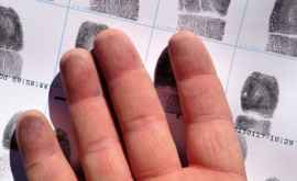 Почему у людей есть отпечатки пальцев