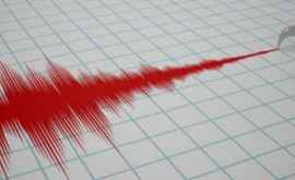 Мощное землетрясение в Болгарии ощущалось и в Румынии 