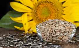 Семена подсолнечника польза и вред для похудения
