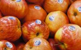 Motivul pentru care sute de kilograme de fructe au fost retrase din comerţ