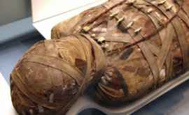 Cel mai vechi tatuaj a fost găsit recent pe o mumie egipteană