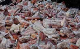 Peste 3000 kg de carne nimicite de inspectorii ANSA la Bălţi