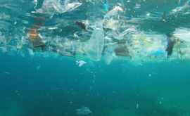 Нашествие мусора снятое дайвером в водах Индонезии ВИДЕО