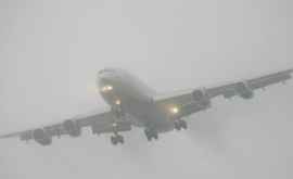 Густой туман нарушил авиасообщение