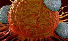 Врачи предупреждают Как передаются бактерии вызывающие рак желудка