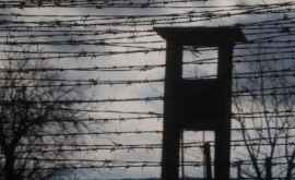 Из тюрьмы в Брэнештах сбежали двое заключенных 