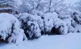На севере страны уровень снежного покрова достиг 25 сантиметров