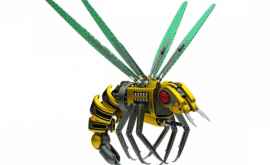 În curînd ar putea fi create albinele robot