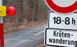 Unele drumuri din Germania au fost închise