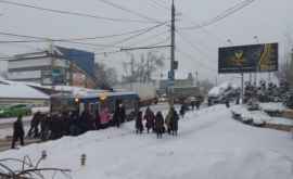 Жители столицы выталкивали троллейбусы из снежных заносов ФОТО