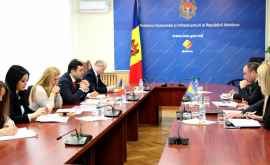 Молдова и Босния готовы реализовать совместные инвестпроекты