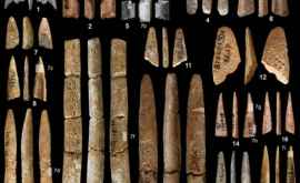 O descoperire recentă scoate la iveală lucruri neștiute despre uneltele preistorice
