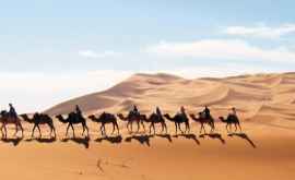 За столетие площадь Сахары увеличилась на 10