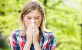 Аллергический ринит или ощущение постоянной простуды Насколько это опасно