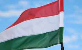 Молдова ждет инвесторов из Венгрии