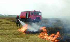 Zeci de hectare de vegetaţie cuprinse de flăcări în ultimele 24 de ore