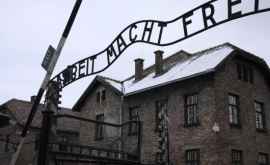 В Германии обвинили бывшего охранника Освенцима в возрасте 94 лет