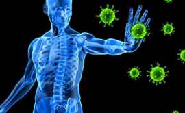 Как повысить иммунитет и укрепить иммунную систему 