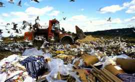 Opinie Optzeci la sută din deșeuri pot fi reciclate