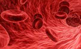 Vitamina careți poate întineri vasele de sînge