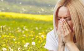 Растет число людей страдающих аллергией 