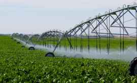 Сельхозпроизводители смогут проще получить доступ к воде