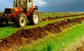 Proprietarii terenurilor agricole din Dubăsari vor primi compensații
