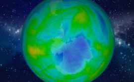 O sursă misterioasă distruge stratul de ozon