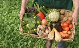 FAO поддержит РМ в развитии устойчивого сельского хозяйства