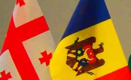 Молдова подтверждает поддержку территориальной целостности Грузии 