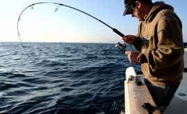 Рыбак поймал гигантского сома побившего все рекорды ФОТО