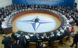 Еще одна страна хочет присоединиться к НАТО