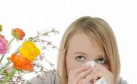 Аллергия у кого больше шансов не заболеть