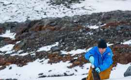 Plastic şi substanţe chimice au fost detectate în Antarctica